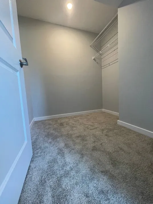 photo of a walk-in closet in the Bel Ami basement, designed and built by KMA Building in Winnipeg, MB