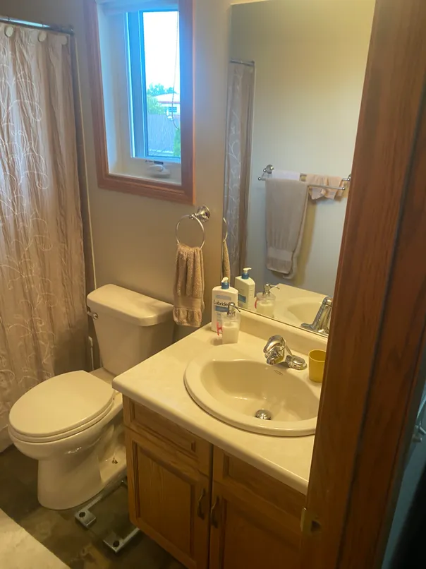 photo of the sink and toilet in the "Glenacres" bathroom designed and built by KMA Building in Winnipeg, MB
